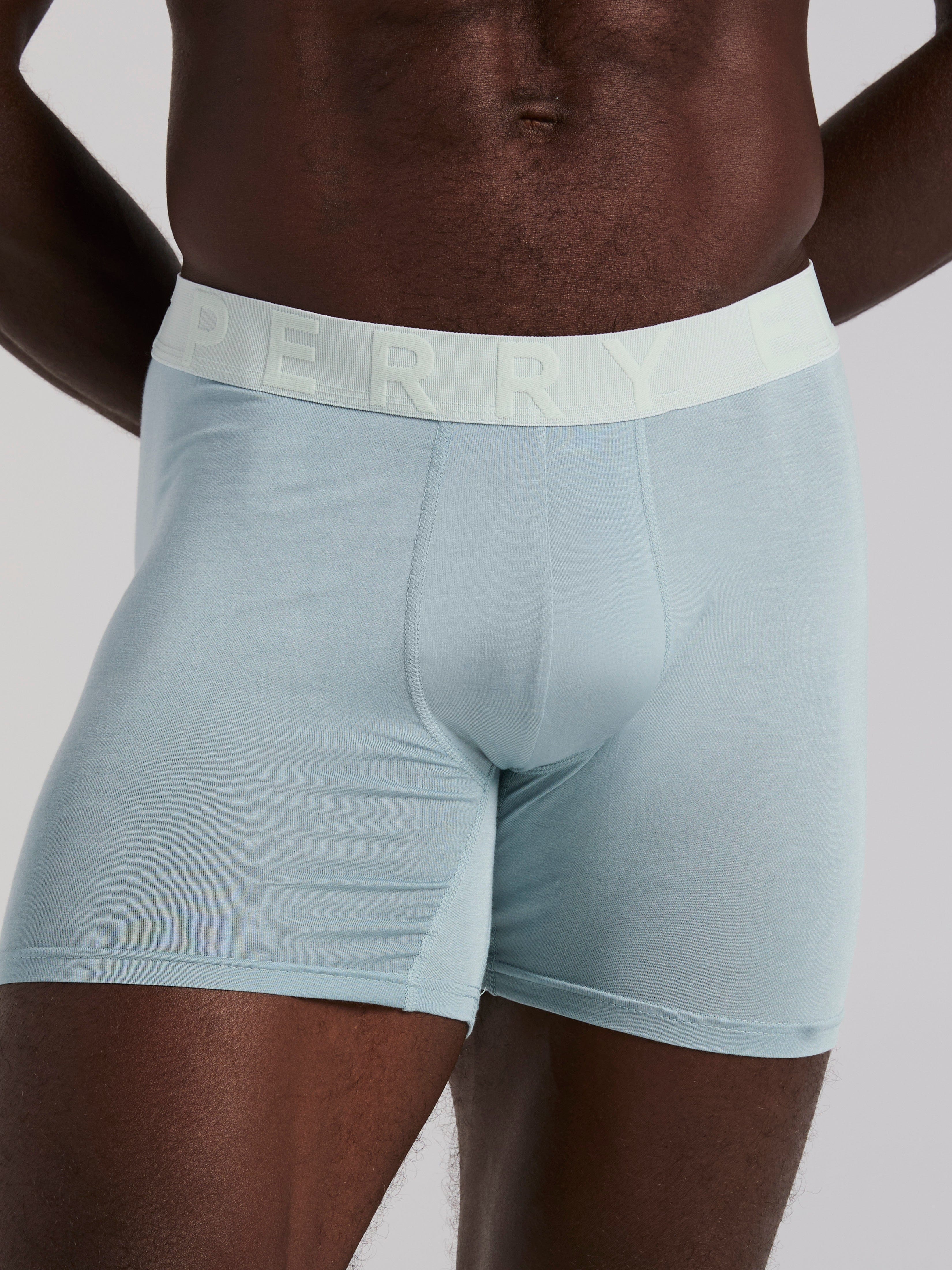 4-Pack Viscose Stretch Classic Boxer Brief - Image 7